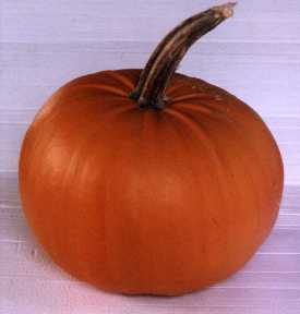 pumpkin